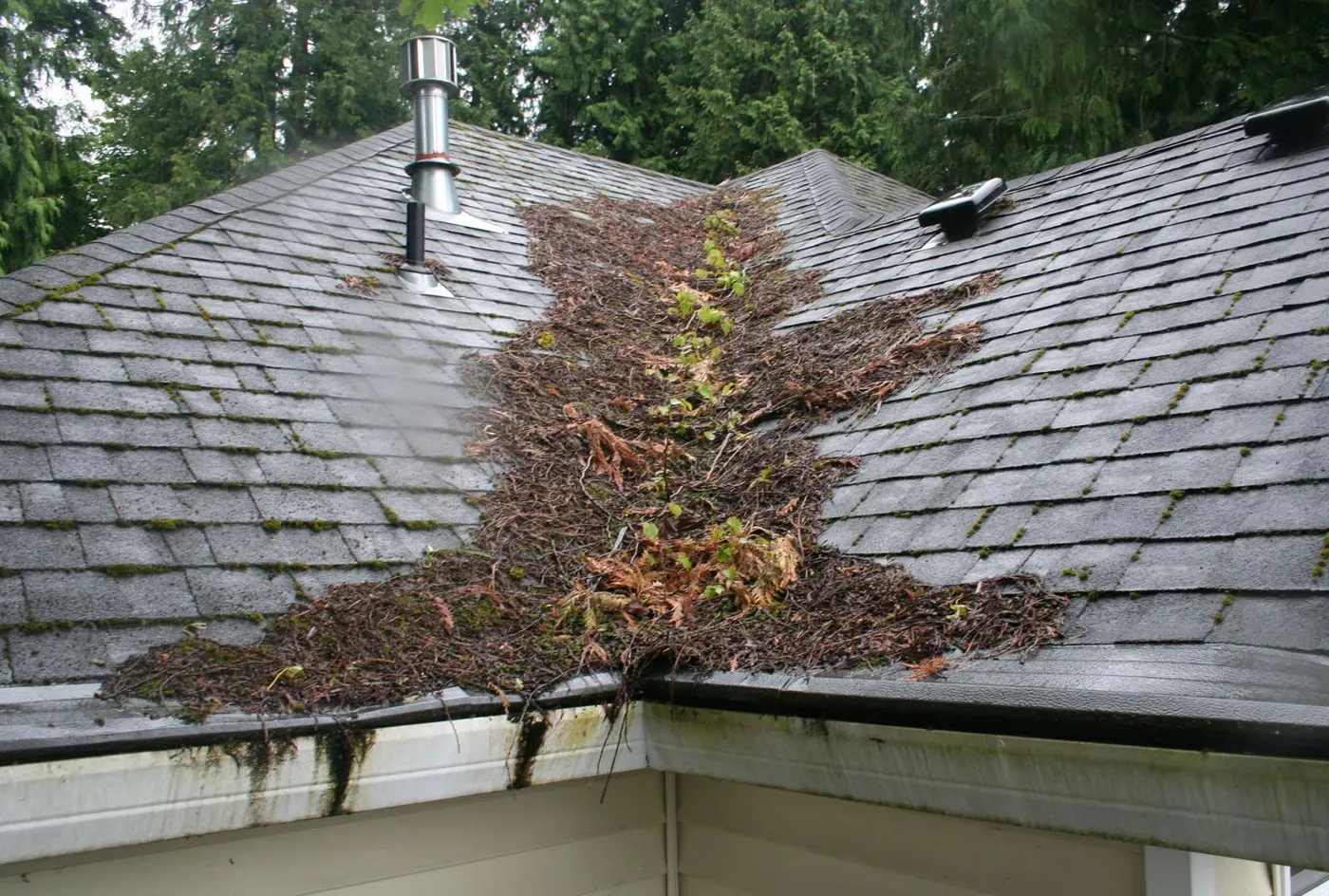 Gutters